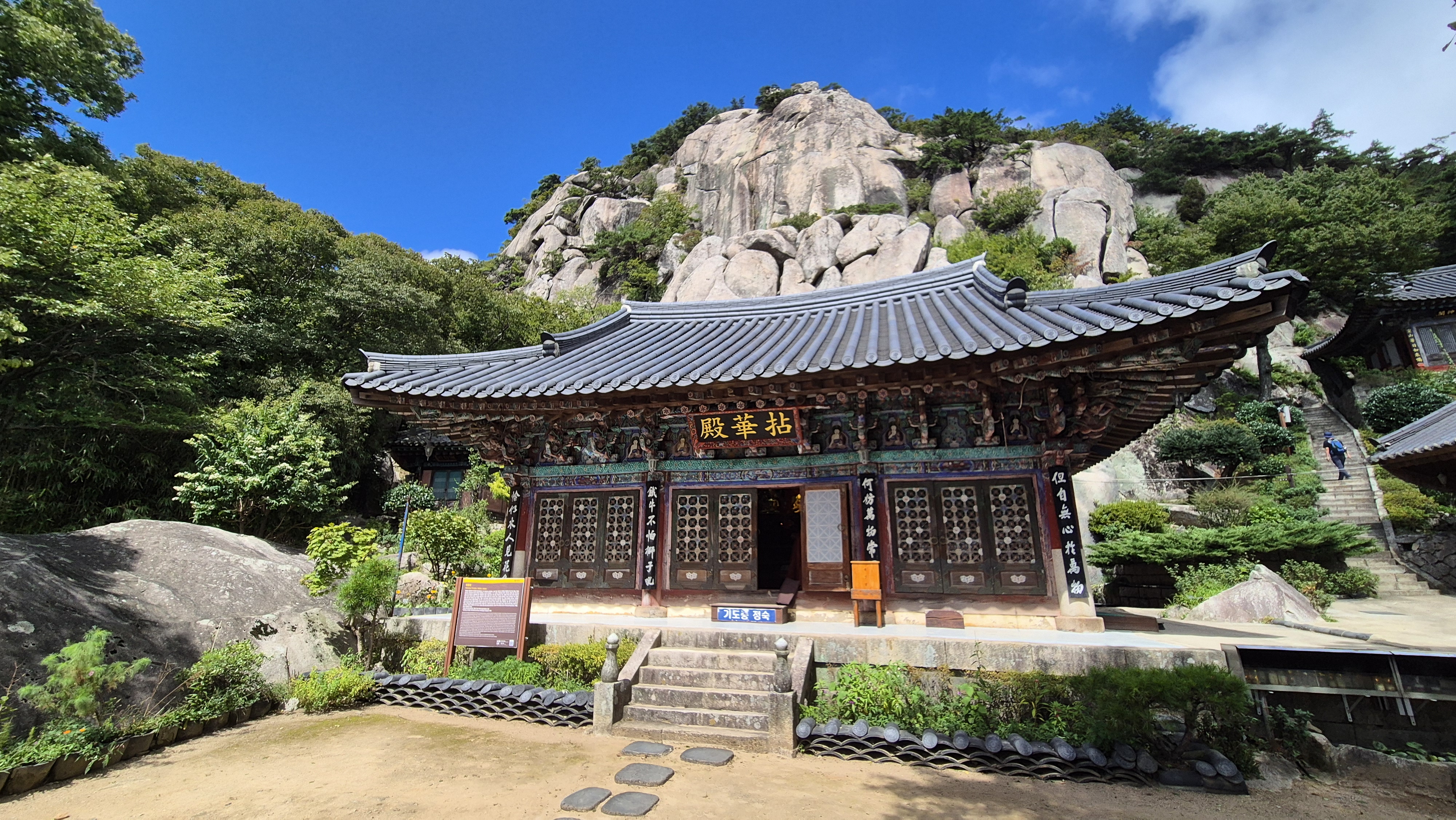금정산 담비